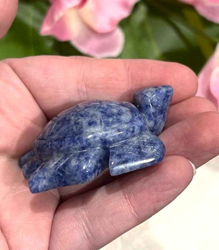 Turtle Carvings in Aventurine, Blue Jasper and Tiger's Eye