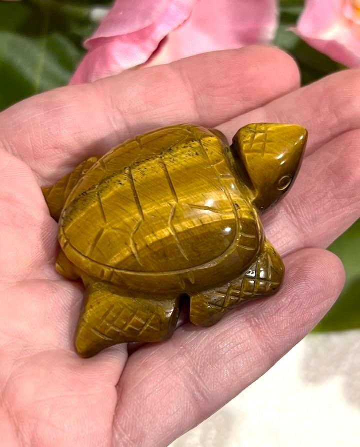 Turtle Carvings in Aventurine, Blue Jasper and Tiger's Eye