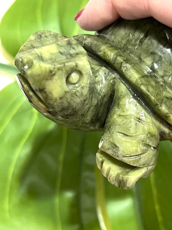Green Jade Turtle 4"
