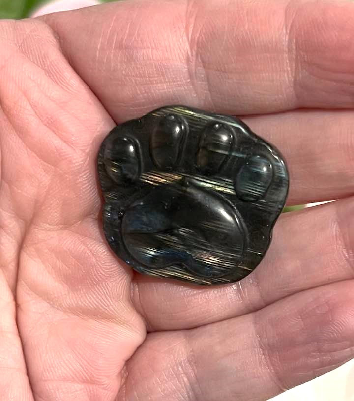 Flash Labradorite Dog or Cat Paw