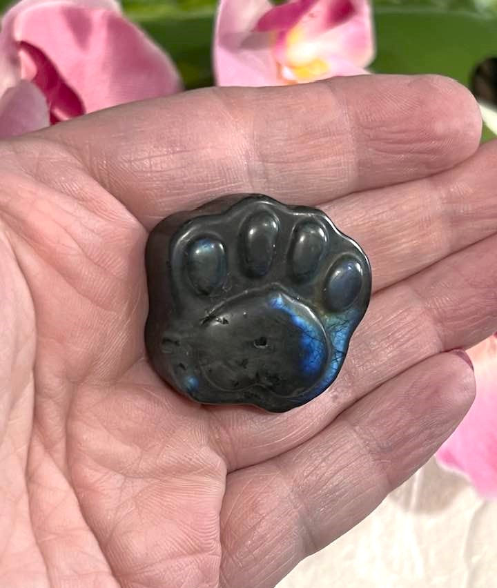 Flash Labradorite Dog or Cat Paw