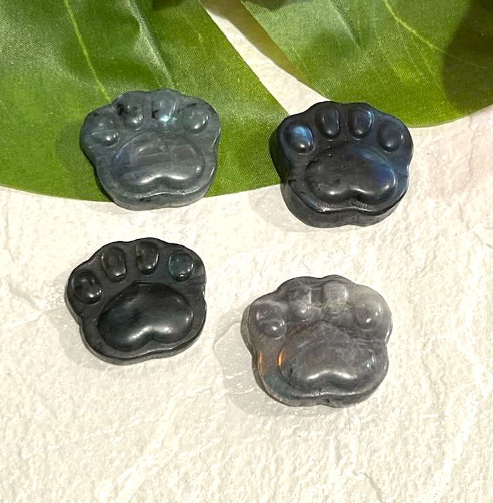 Flash Labradorite Dog or Cat Paw