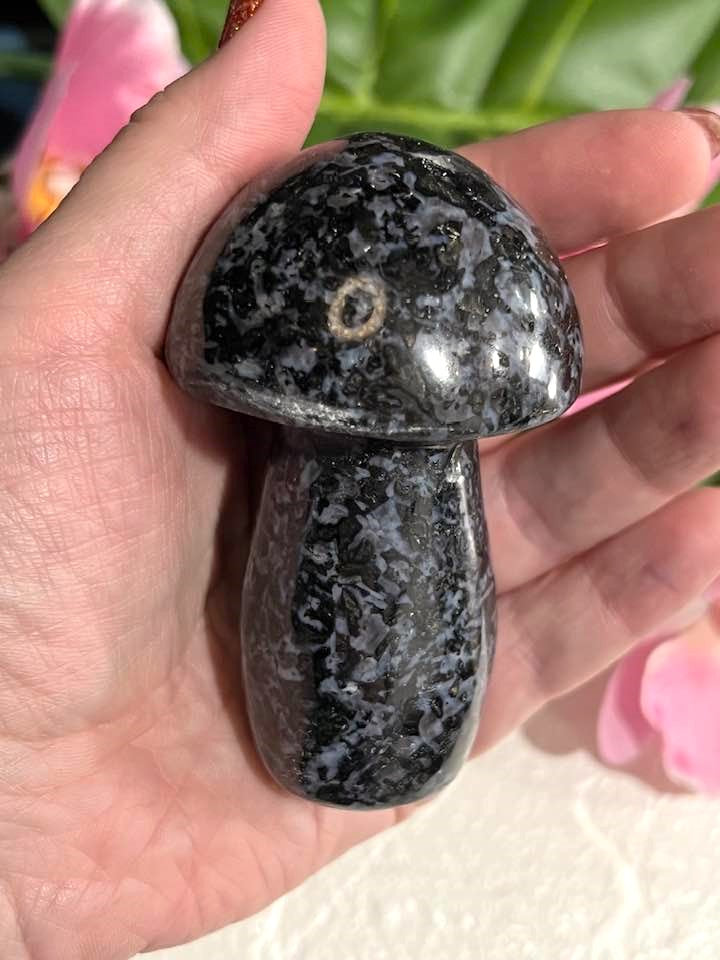 Larvikite Jumbo Mushroom