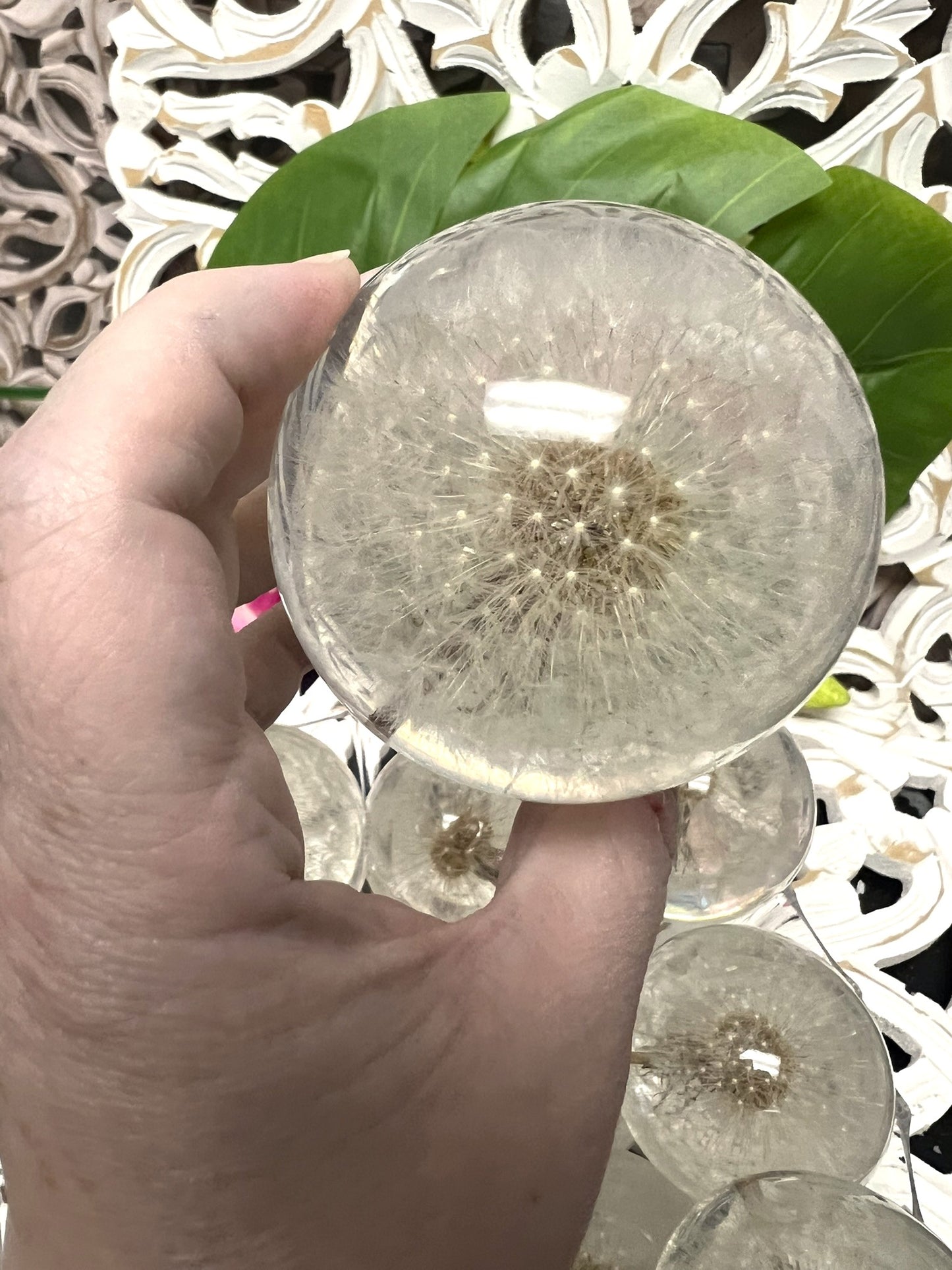 Dandelion in a 65mm Resin Sphere