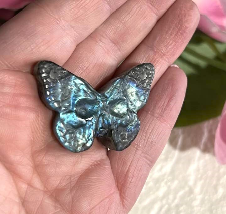 Skull Moth Carving in Labradorite