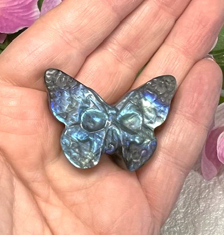 Skull Moth Carving in Labradorite