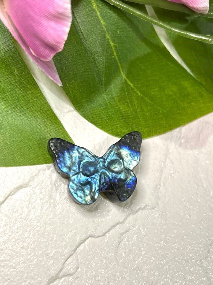 Skull Moth Carving in Labradorite