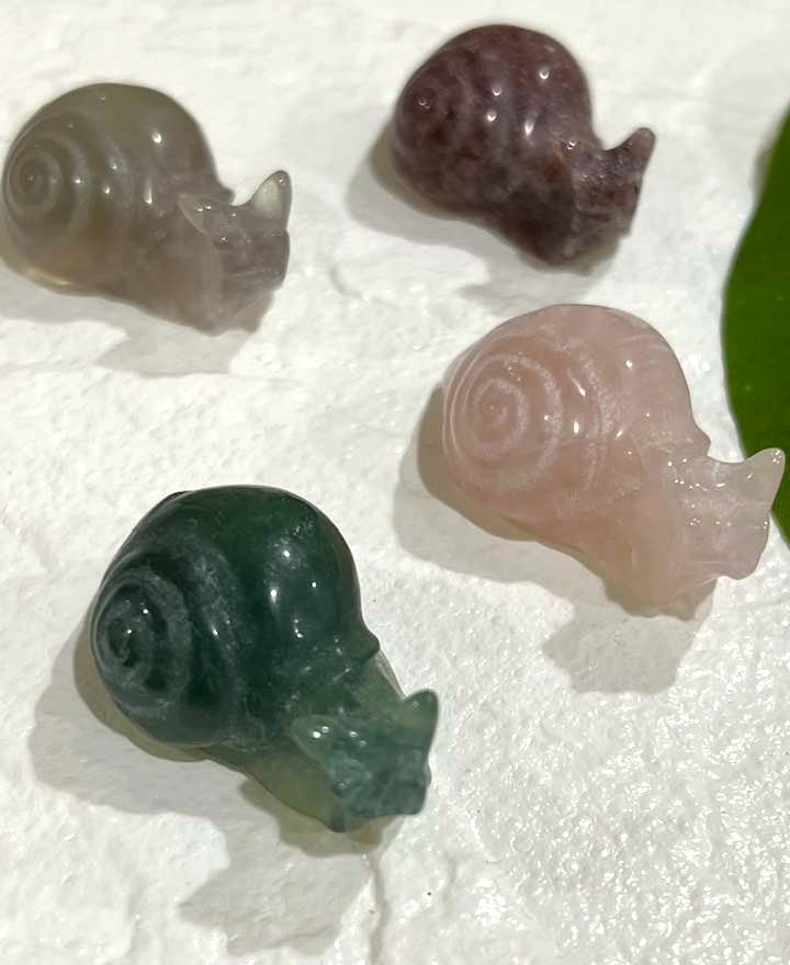 Snail Carving