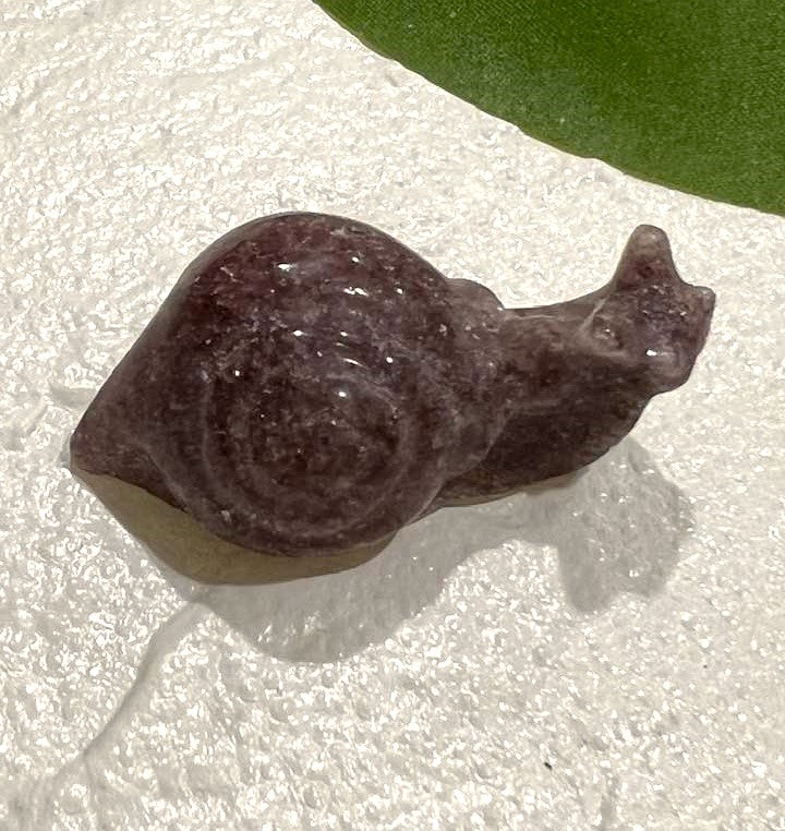 Snail Carving