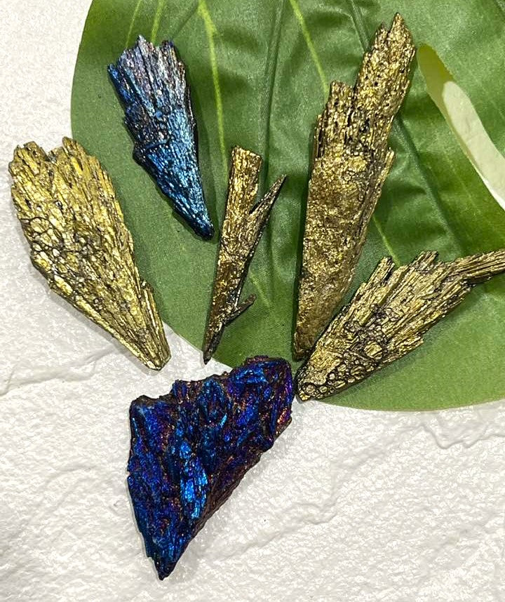 Aqua Aura Black Kyanite Fan