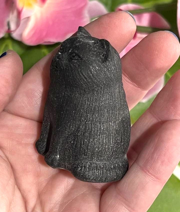 Black Obsidian Puffy Cat