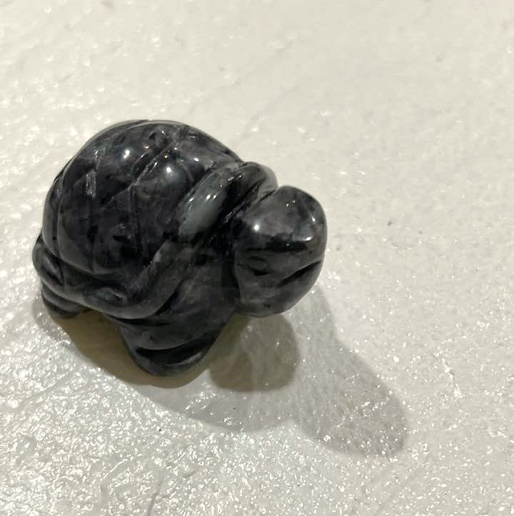 Turtle in Amethyst or Larvikite