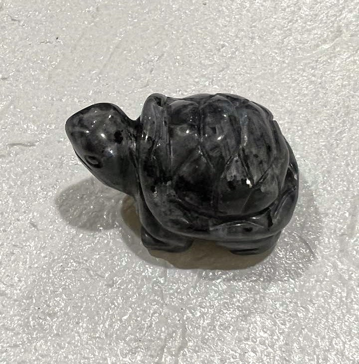 Turtle in Amethyst or Larvikite