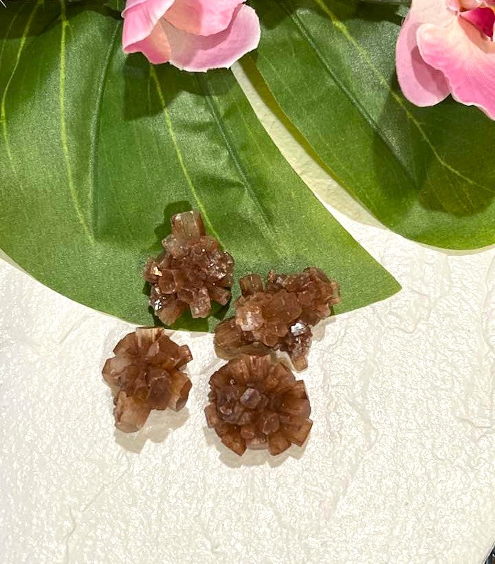 Aragonite Star Cluster