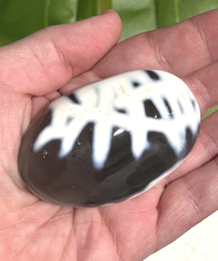 Orca Agate Palm Stone