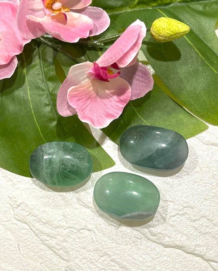 Green Fluorite Palm Stone