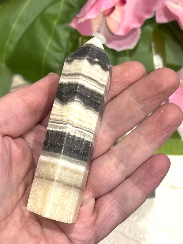 Zebra Jasper Tower