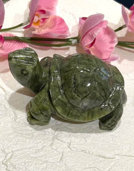 Green Jade Turtle 4"