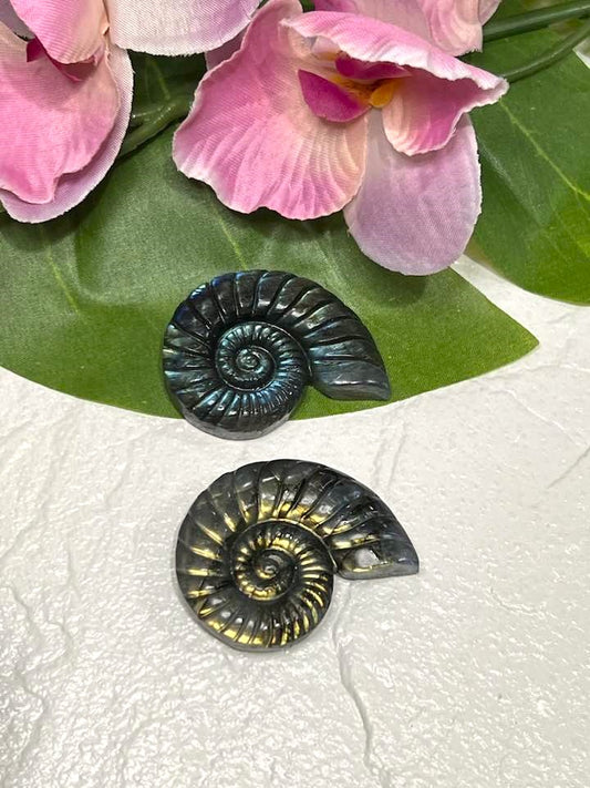 Labradorite Shell Carving