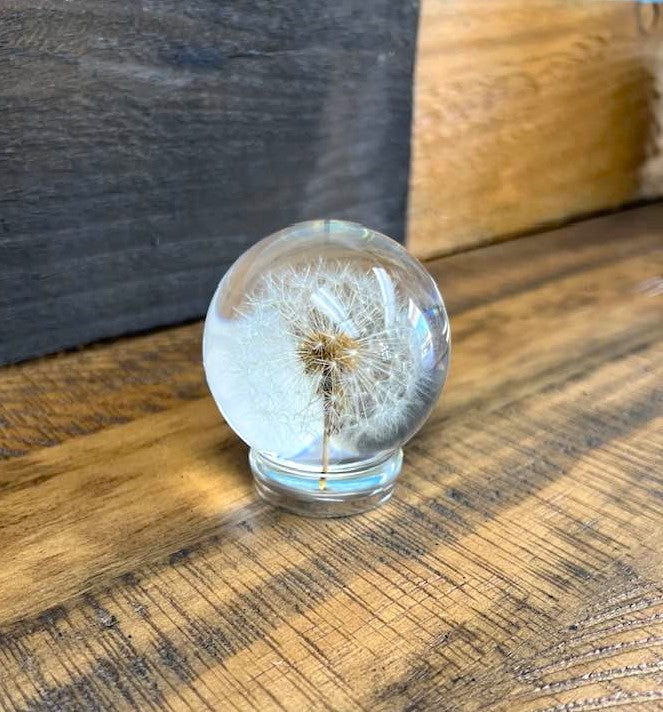 Dandelion in a 65mm Resin Sphere