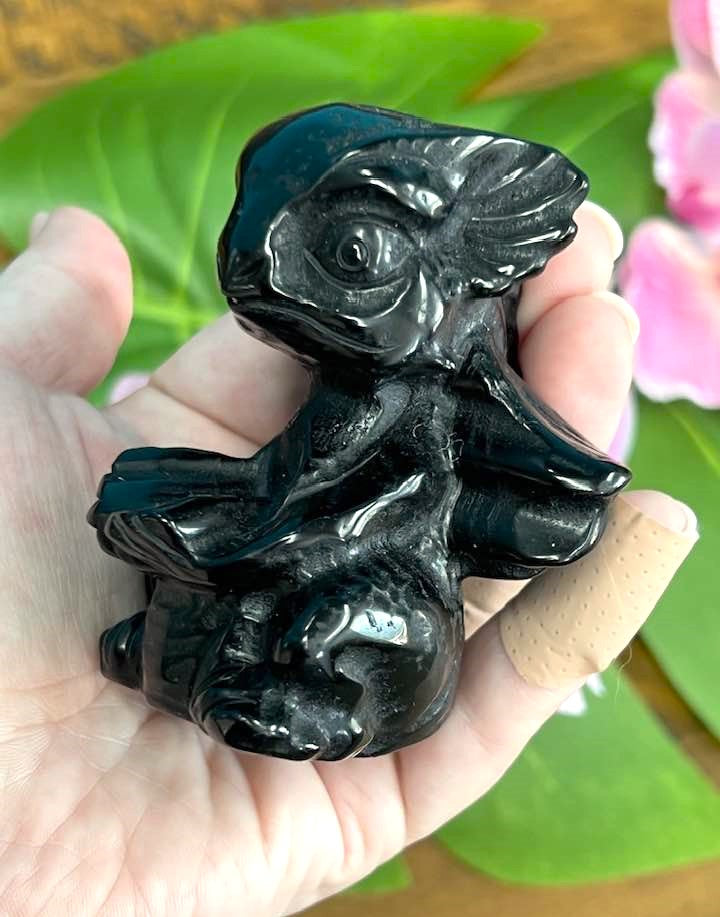 Black Obsidian Dragon 3"