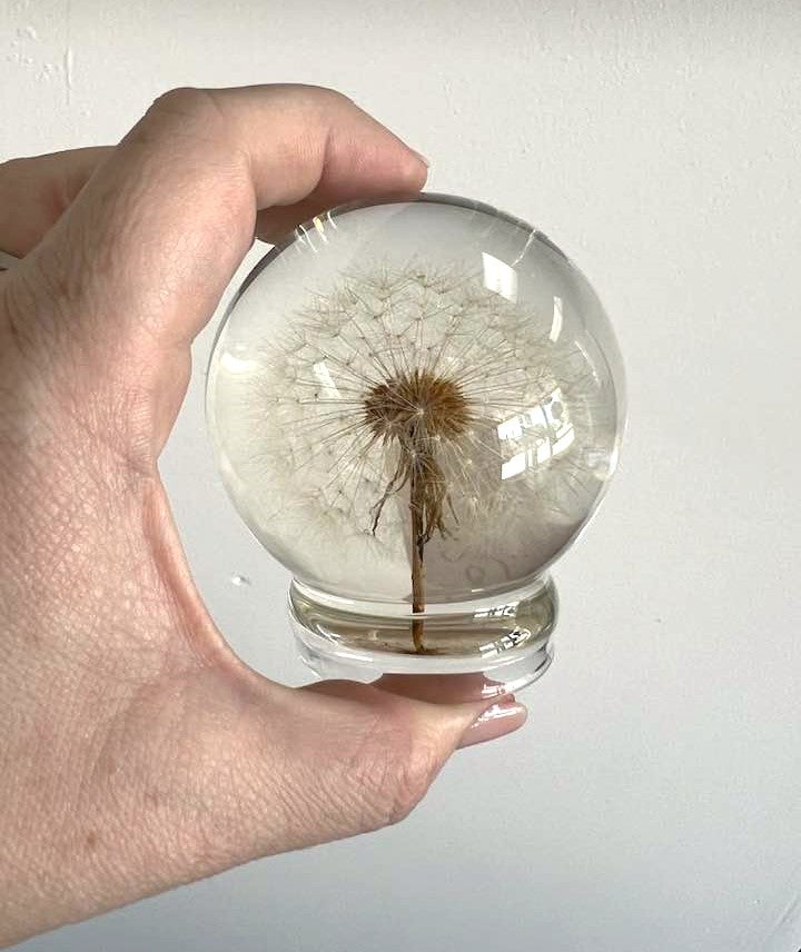 Dandelion in a 65mm Resin Sphere