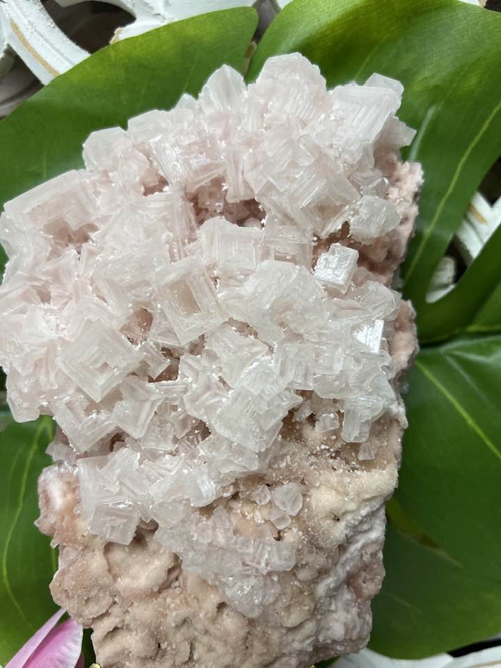 Halite with Trona