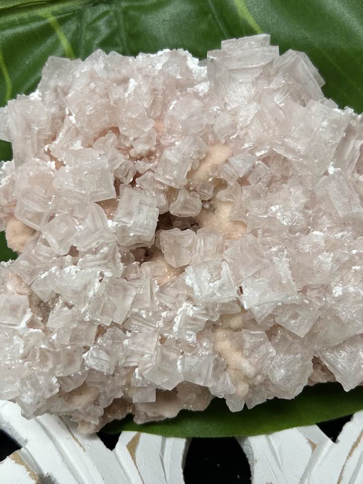 Halite with Trona