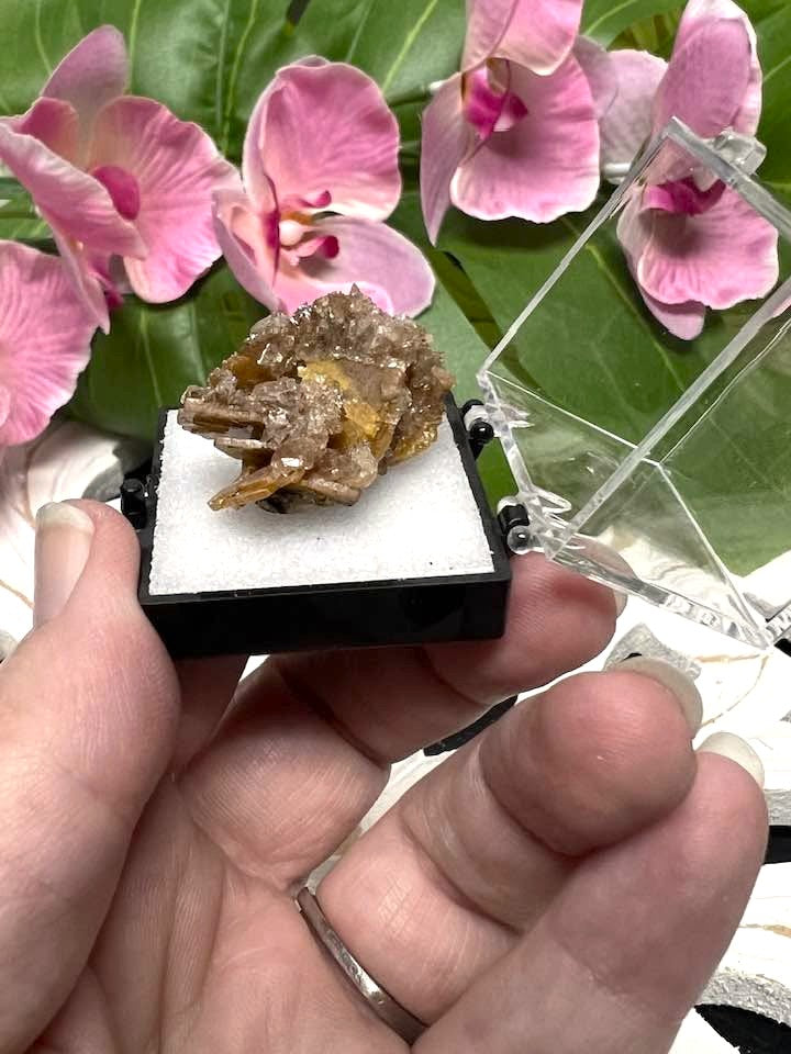 Wulfenite Crystals in Perky Box from Defiance Mine, Arizona
