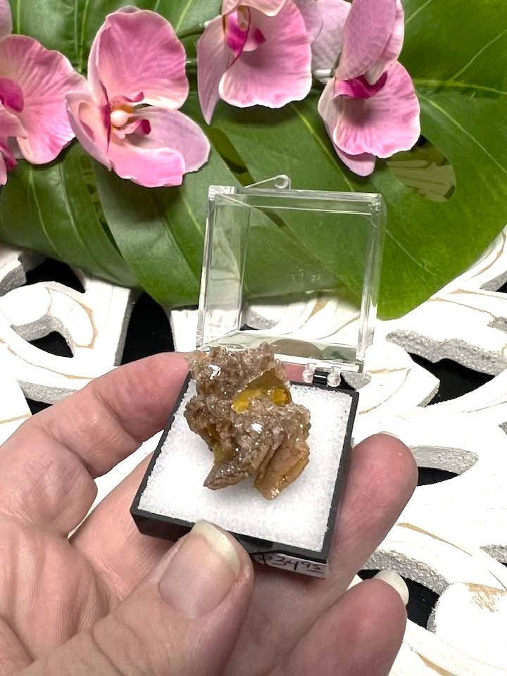 Wulfenite Crystals in Perky Box from Defiance Mine, Arizona