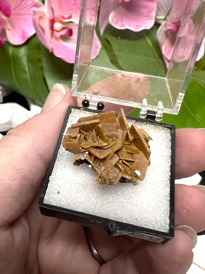 Wulfenite Crystals from Defiance Mine Arizona