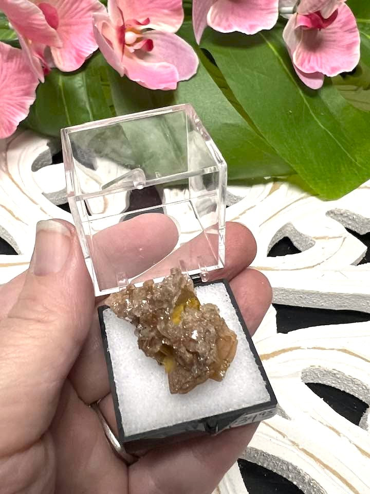 Wulfenite Crystals in Perky Box from Defiance Mine, Arizona