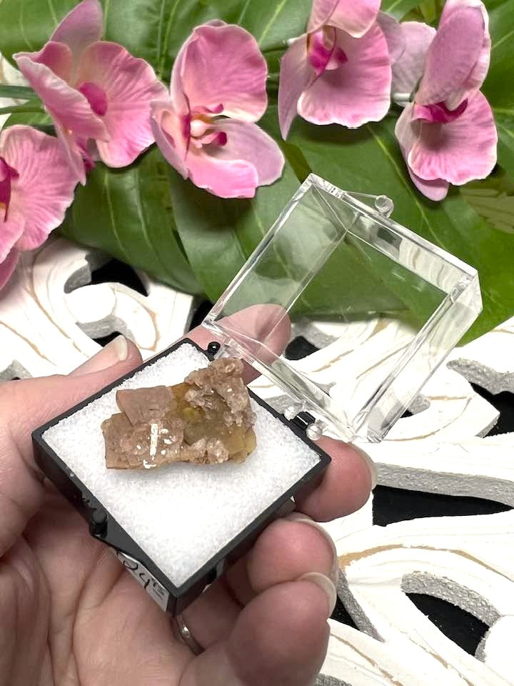 Wulfenite Crystals in Perky Box from Defiance Mine Arizona