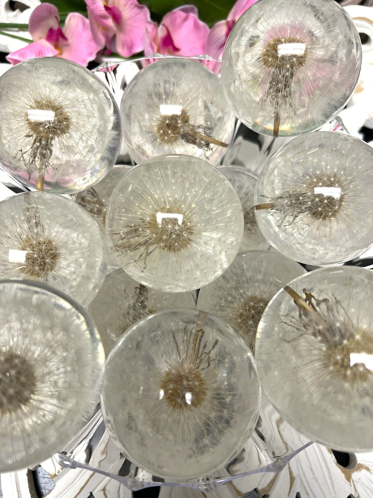 Dandelion in a 65mm Resin Sphere