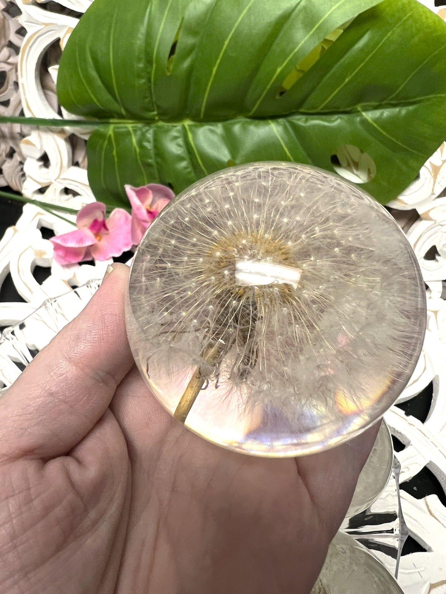 Dandelion in a 65mm Resin Sphere
