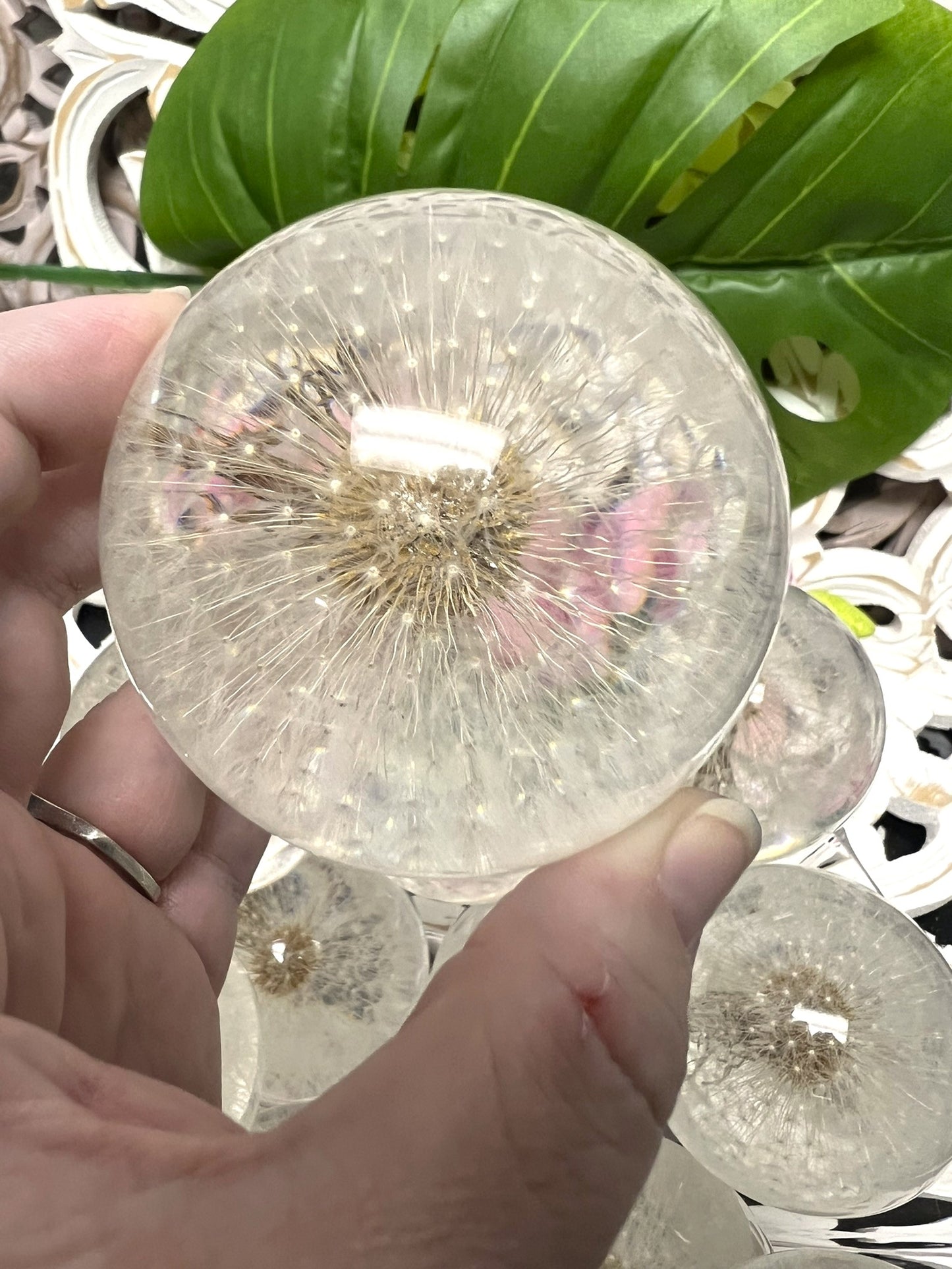 Dandelion in a 65mm Resin Sphere