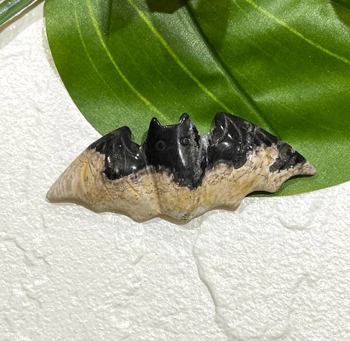 Palm Root Bat