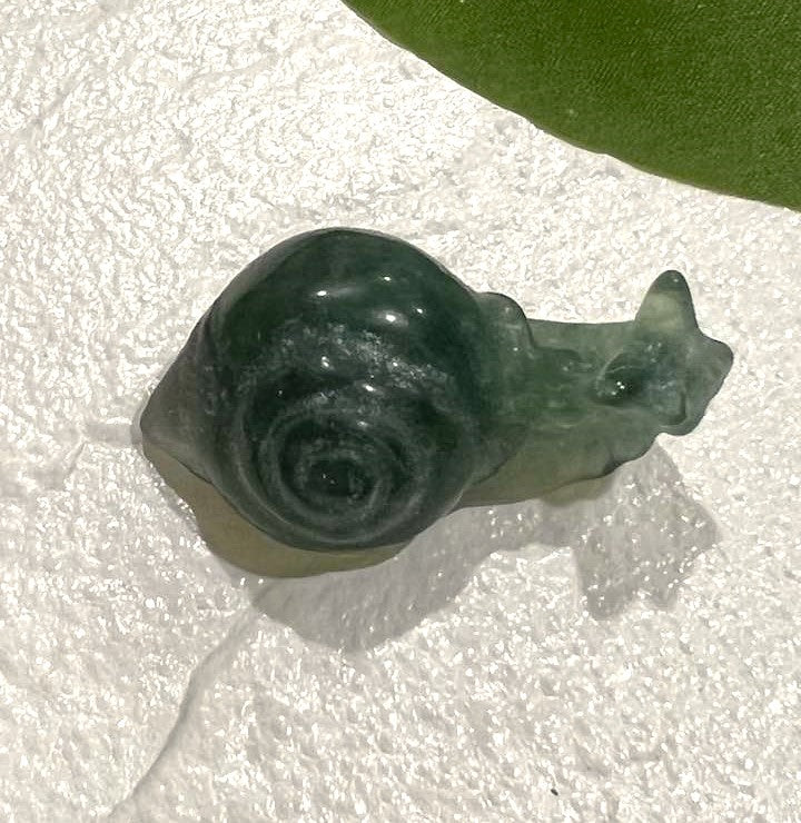 Snail Carving