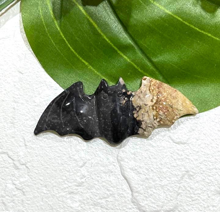 Palm Root Bat