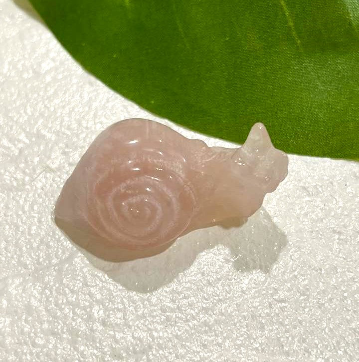 Snail Carving