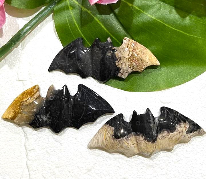 Palm Root Bat