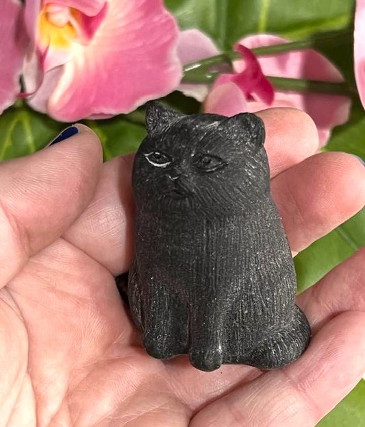 Black Obsidian Puffy Cat