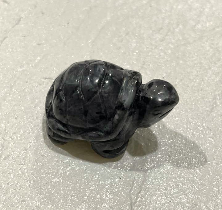 Turtle in Amethyst or Larvikite