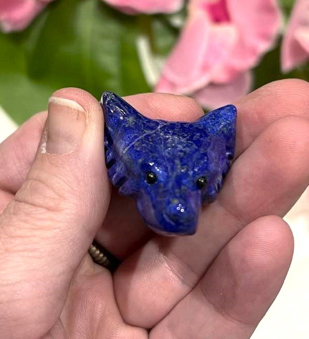 Wolf Head in Tiger's Eye, Lapis Lazuli, Aventurine, Amethyst or Labradorite