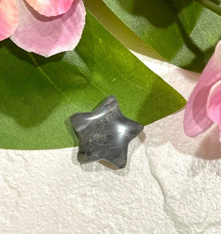 Star in a variety of stones 1"