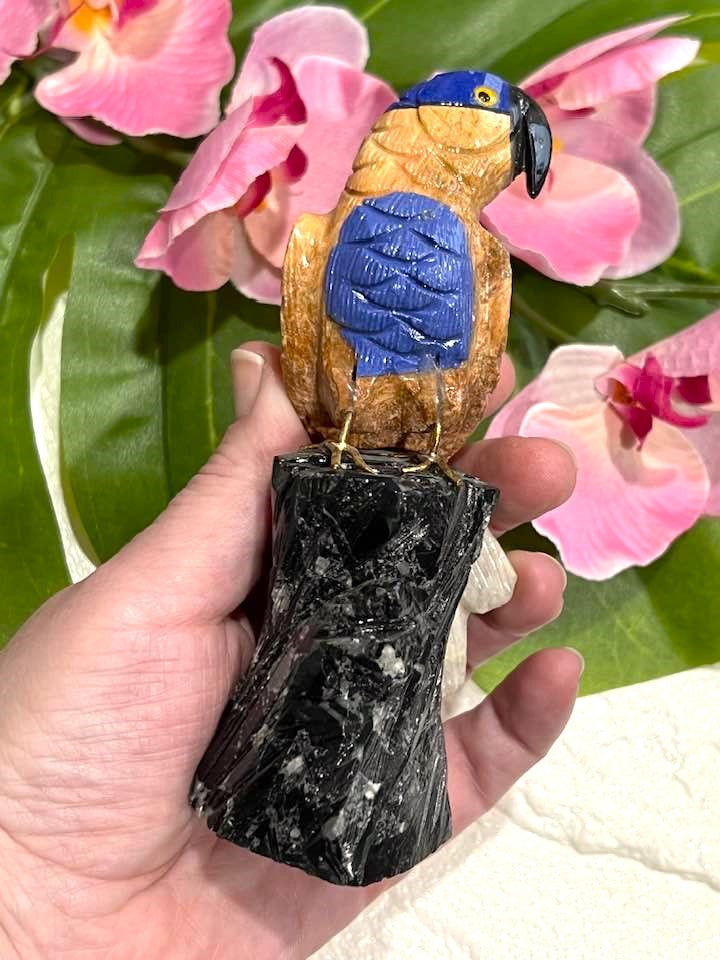 Gemstone Parrot