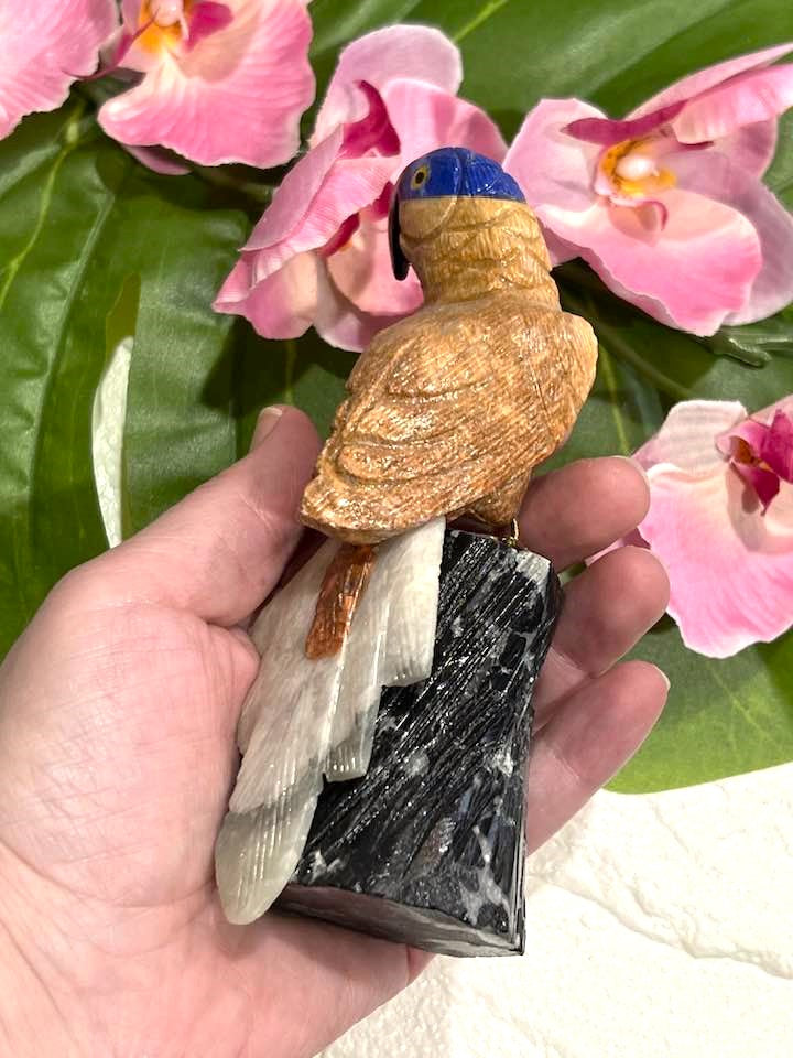 Gemstone Parrot