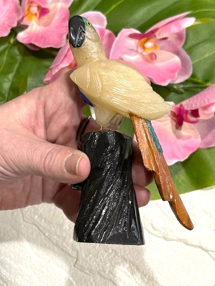 Gemstone Parrot