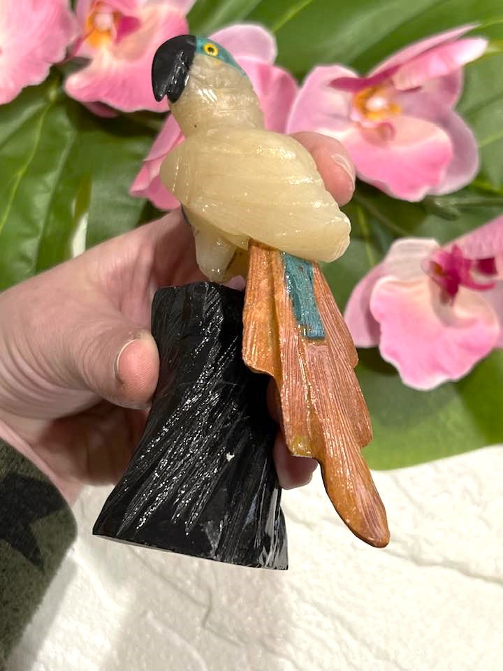 Gemstone Parrot