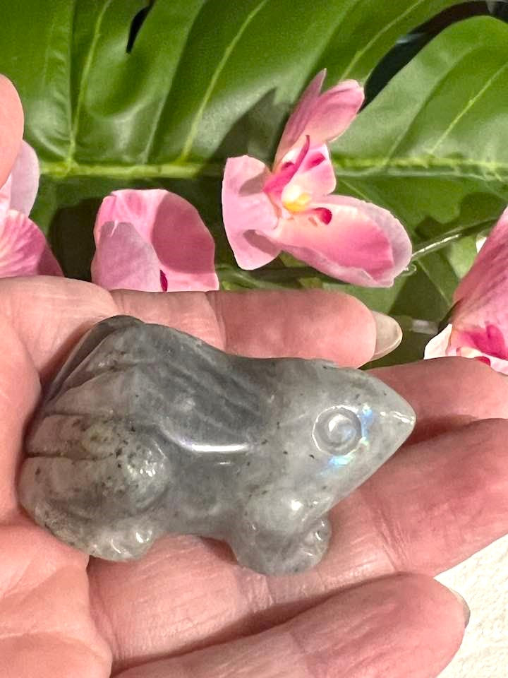 Natural Stone Frog